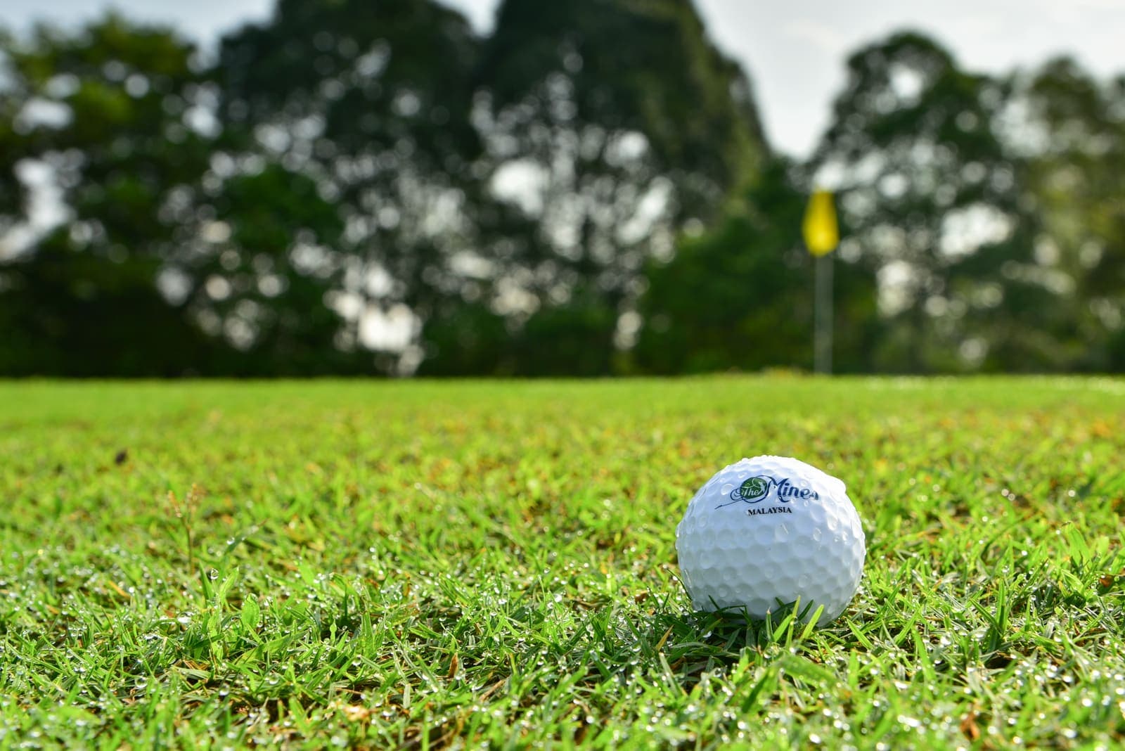 A dew-covered branded The Mines golf ball resting on the fairway, with a green and flagstick beyond