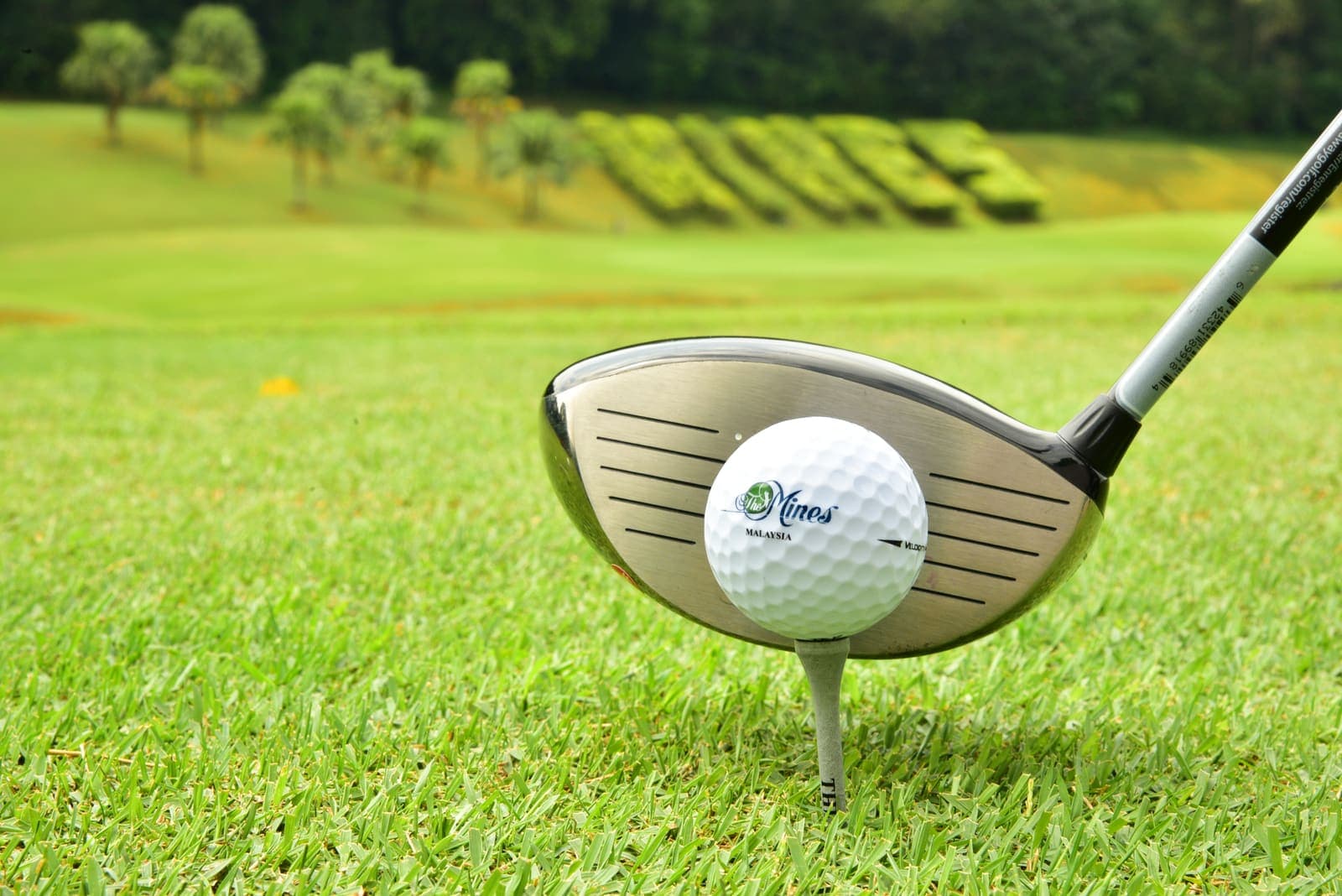 A driver head addressing a branded The Mines golf ball on a tee, with a hedge spelling the club's name in the background