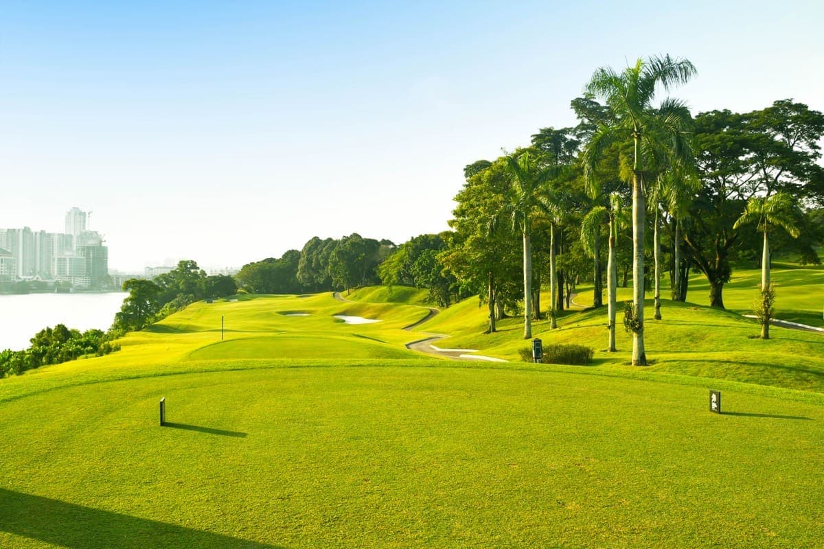 Wide, tree-lined fairway on the championship course